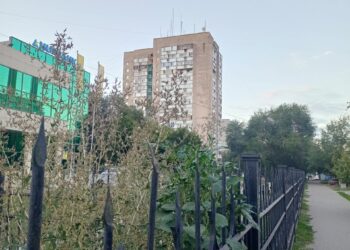 «Встречают по одежке»