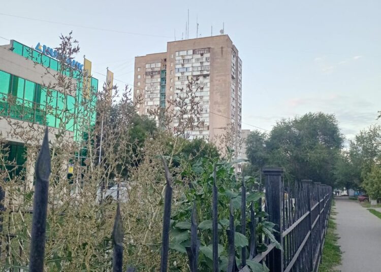 «Встречают по одежке»