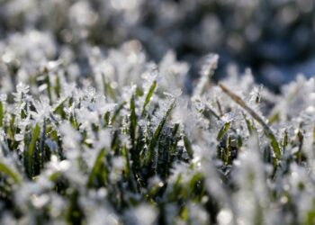 Заморозки наступят раньше?