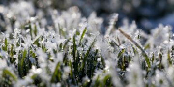 Заморозки наступят раньше?