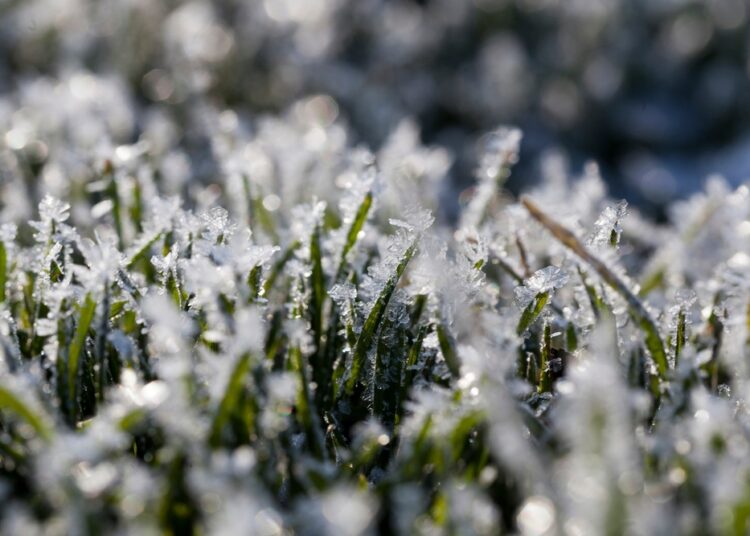 Заморозки наступят раньше?