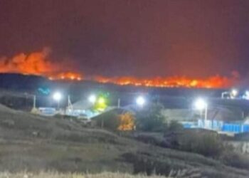 ЧЕТВЕРТЫЕ СУТКИ БОРЮТСЯ С ОГНЕМ В ГОРНОЙ МЕСТНОСТИ В АБАЙСКОЙ ОБЛАСТИ