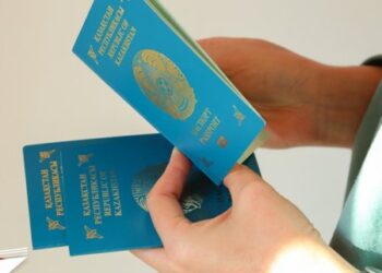 Появятся новые виды виз