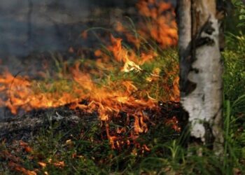 Не оставаться равнодушными