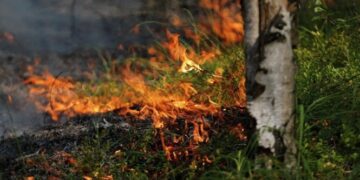 Не оставаться равнодушными