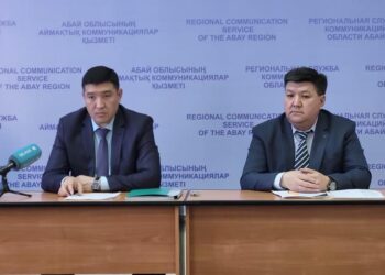 По новым правилам: стало ли меньше бродячих животных?