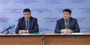 По новым правилам: стало ли меньше бродячих животных?