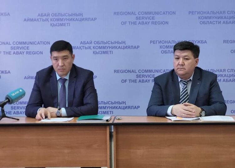 По новым правилам: стало ли меньше бродячих животных?