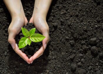 Произошли изменения в системе субсидирования АПК в Казахстане