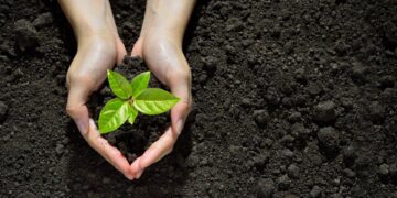 Произошли изменения в системе субсидирования АПК в Казахстане