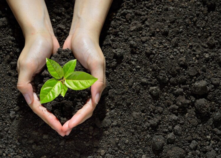 Произошли изменения в системе субсидирования АПК в Казахстане