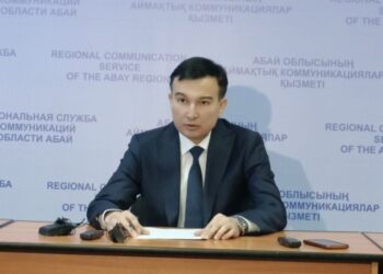 Проблемы и методы решения: регулирование природопользования области