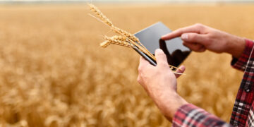 Господдержка для аграриев