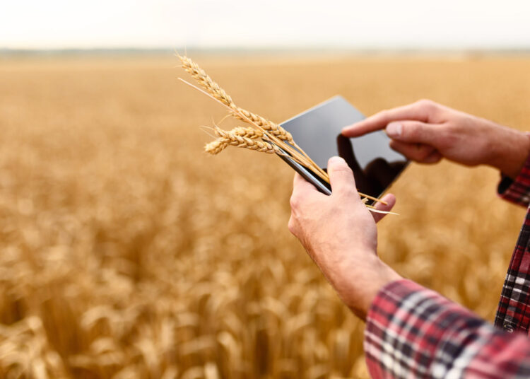 Господдержка для аграриев