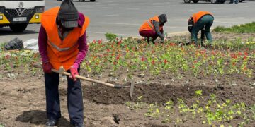 В Семее начались работы по озеленению