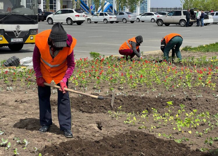 В Семее начались работы по озеленению