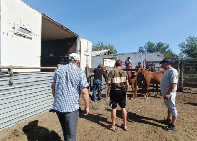 Выпас животных – строго по правилам