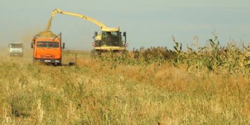 Время собирать урожай