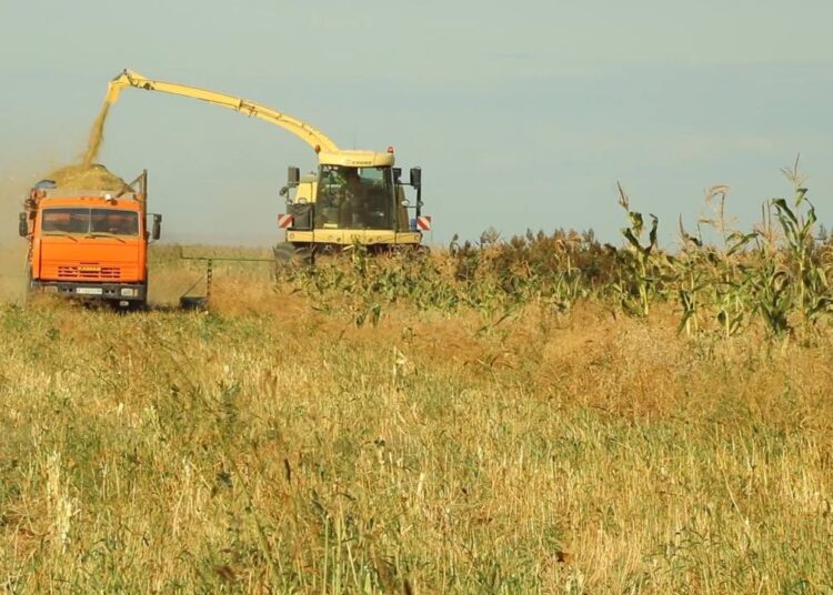 Время собирать урожай