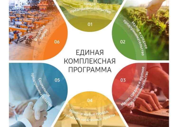 Единая комплексная программа