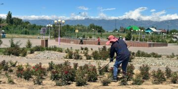 Республиканская экоакция «Таза Қазақстан» продолжается в Урджарском районе области Абай