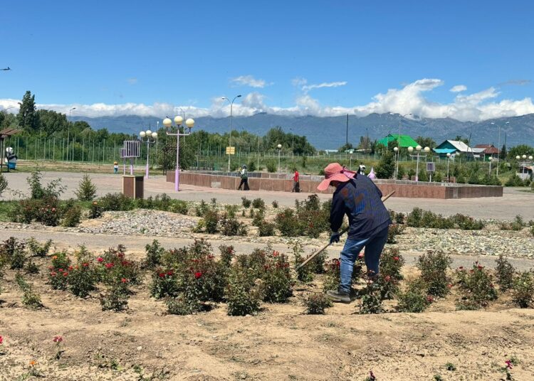 Республиканская экоакция «Таза Қазақстан» продолжается в Урджарском районе области Абай