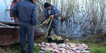 Охота пуще неволи