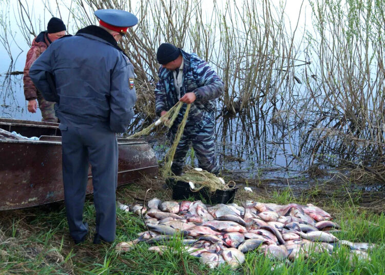 Охота пуще неволи
