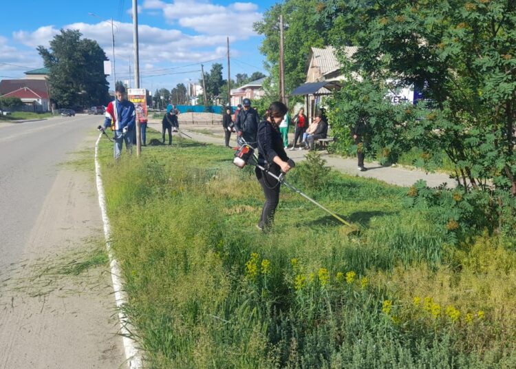 Жители Бородулихинского района поддержали экоакцию «Таза Казахстан»