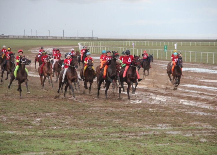 Осталось 45 дней: Организационный комитет представил работу отелей, в которых разместятся делегации на Играх кочевников