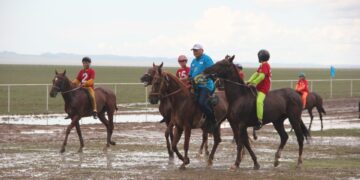 Осталось 45 дней: Организационный комитет представил работу отелей, в которых разместятся делегации на Играх кочевников