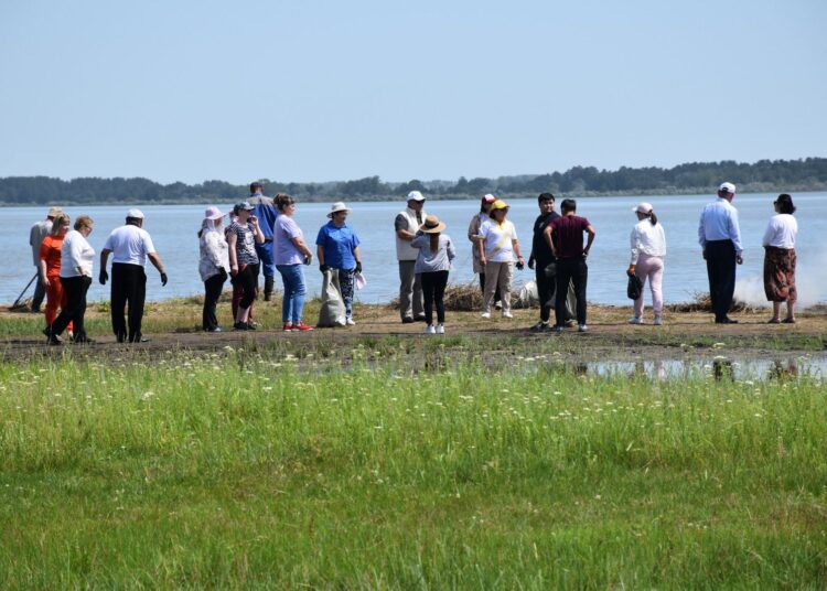 Жители Бородулихинского района области Абай очистили берег озера