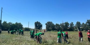 Уборку провели на территории «Питомника» в Аягозском районе