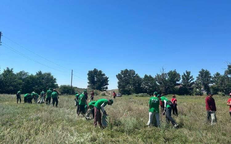 Уборку провели на территории «Питомника» в Аягозском районе
