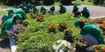 Парк «Болашак» привели в порядок в ходе уборки в Урджарском районе