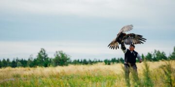 Лучших ловчих птиц готовят для участия во Всемирных играх кочевников