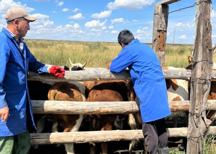 В области Абай для МРТ детей с психоневрологическими расстройствами внедрили наркоз «Севоран»