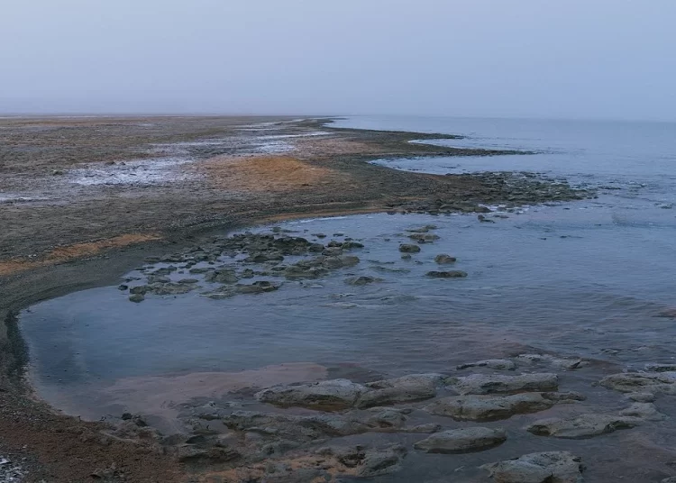 Северный Арал восстанавливается