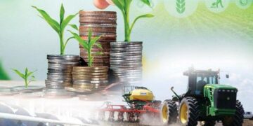 Кредиты под 2,5%: как программа «Ауыл аманаты» помогает сельчанам повышать достаток