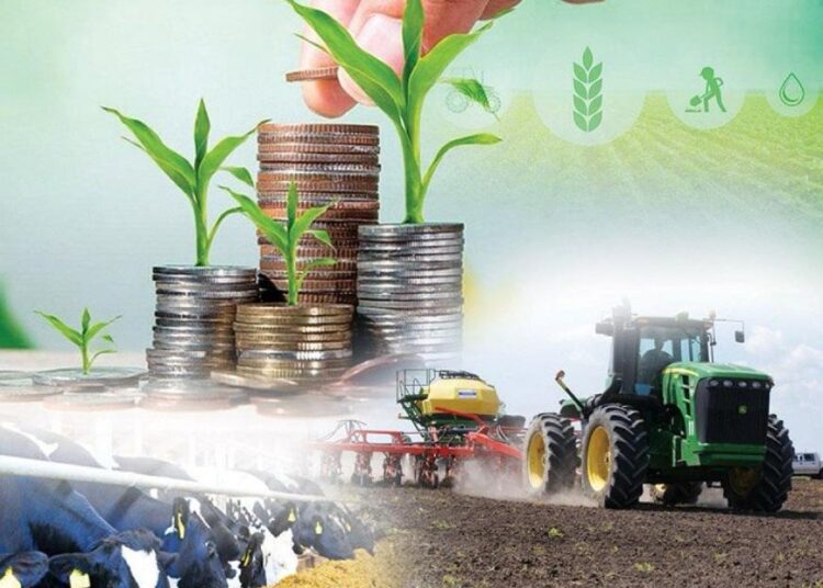 Кредиты под 2,5%: как программа «Ауыл аманаты» помогает сельчанам повышать достаток