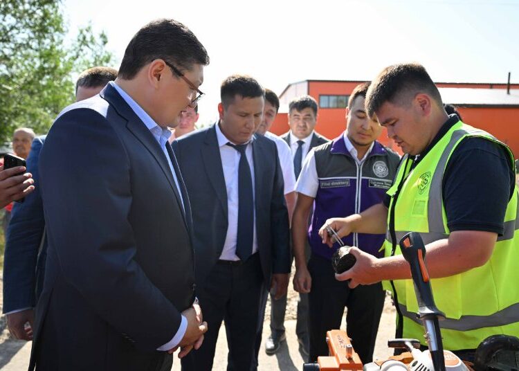 Аким области посетил село Жанай