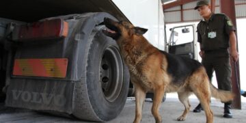Военнослужащие Департамента Пограничной службы КНБ РК по области Абай предотвратили ряд нарушений законодательства