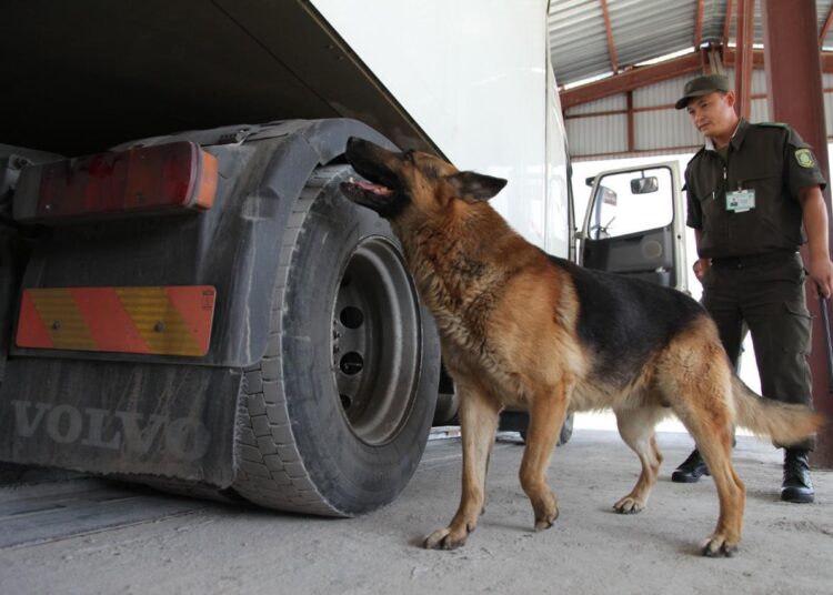 Военнослужащие Департамента Пограничной службы КНБ РК по области Абай предотвратили ряд нарушений законодательства