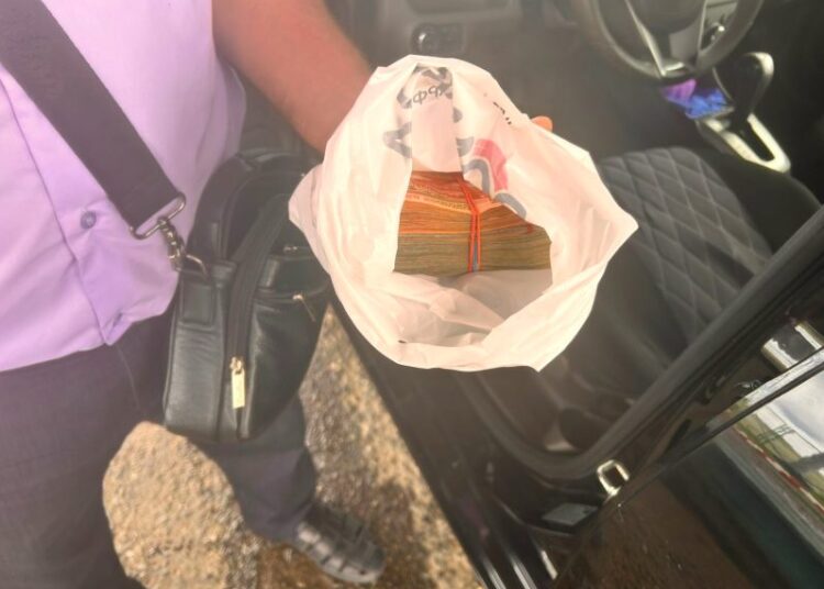 Пограничники области Абай пресекли две попытки нарушений на границе