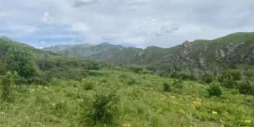 Президент поручил создать единую цифровую карту земельных ресурсов Казахстана