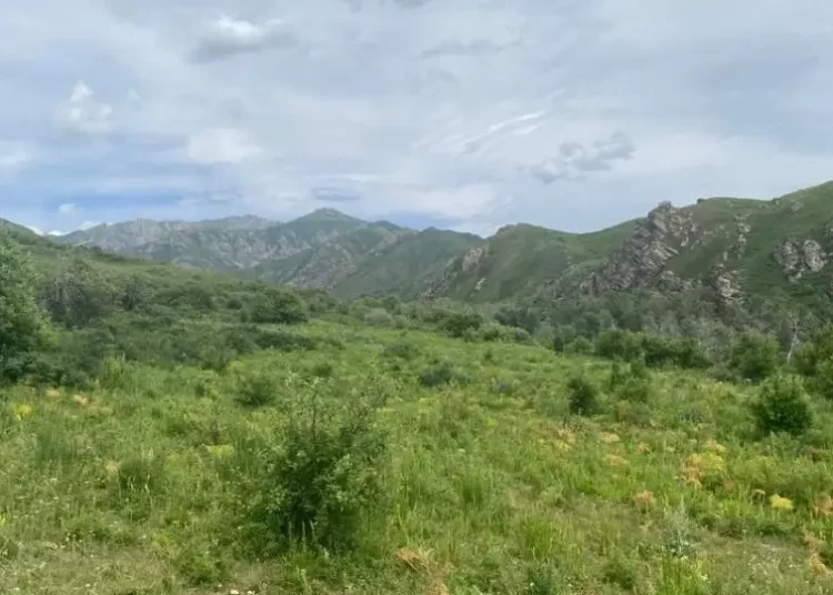 Президент поручил создать единую цифровую карту земельных ресурсов Казахстана