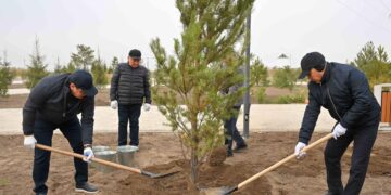 Абайская область: высажено 5 тысяч деревьев в рамках общенациональной акции