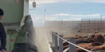 В Аксуатском районе реализуется новый проект в сфере сельского хозяйства