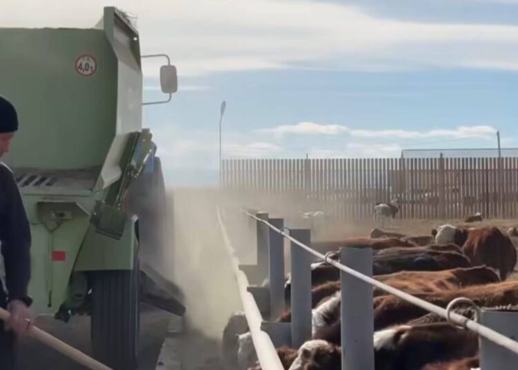 В Аксуатском районе реализуется новый проект в сфере сельского хозяйства