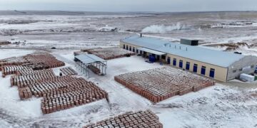 В Бородулихинском районе области Абай запущен кирпичный завод